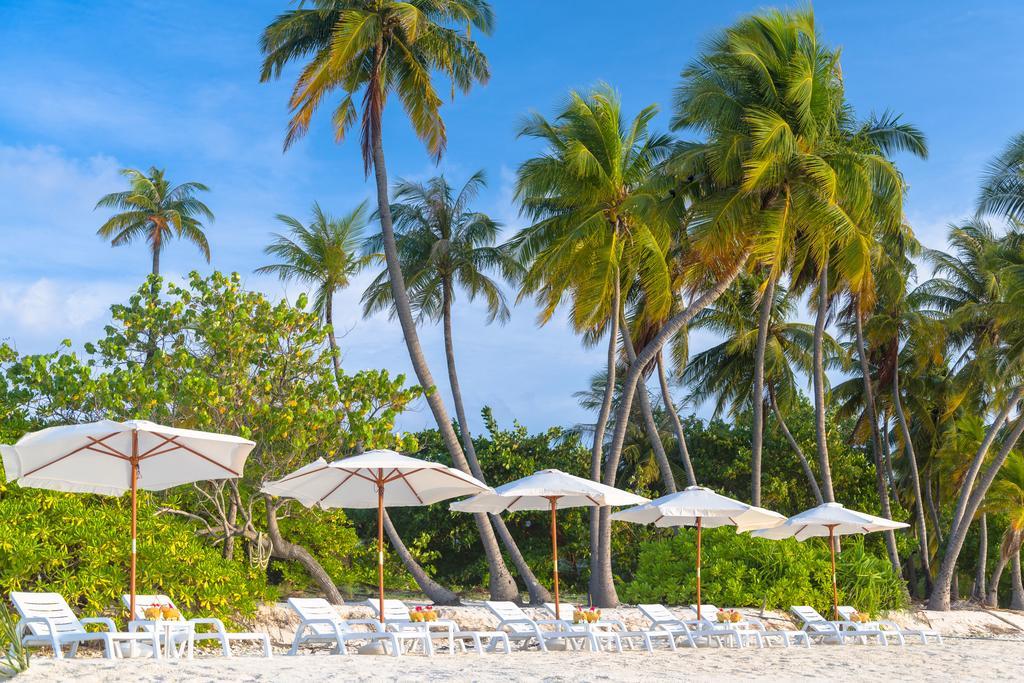 Sabba Summer Suite , Fodhdhoo - Maldives Dış mekan fotoğraf