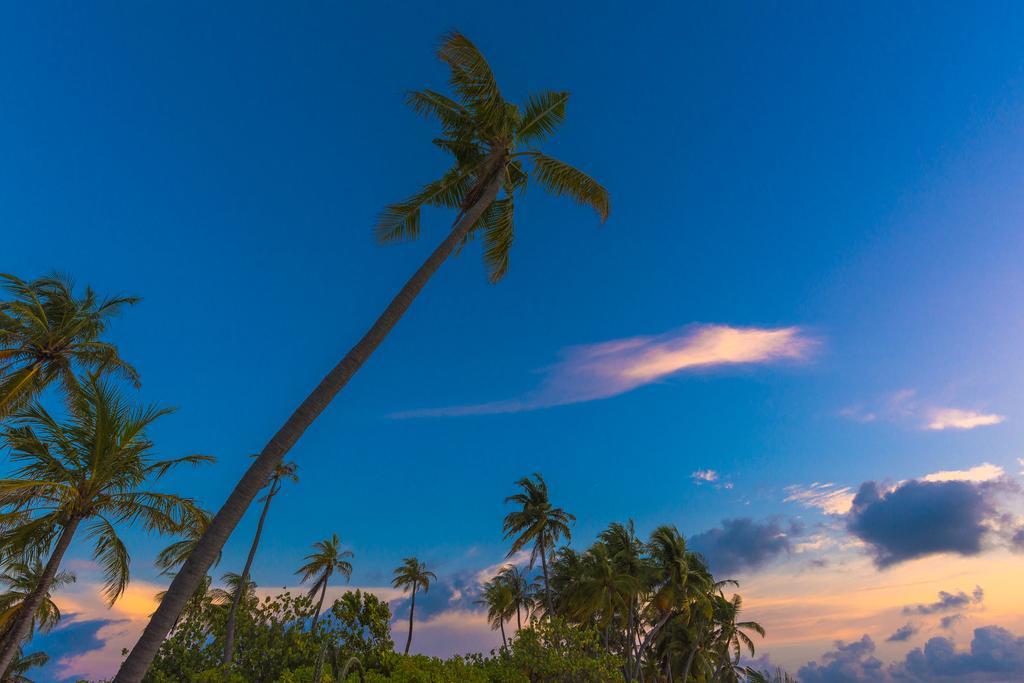 Sabba Summer Suite , Fodhdhoo - Maldives Dış mekan fotoğraf